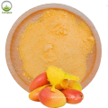 Wholesale 100% Pure Powder Mango Powder Price